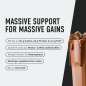 Preview: ESN Massive Weight Gainer