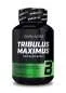 Preview: BiotechUSA Tribulus Maximus