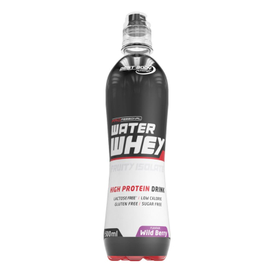 Professional Water Whey Isolate Drink - 500ml Flasche (Best Body Nutrition)