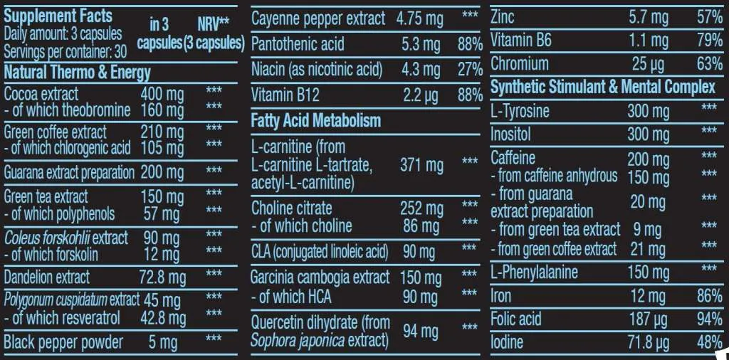 Black Burn - 90 Kapseln (Biotech USA)